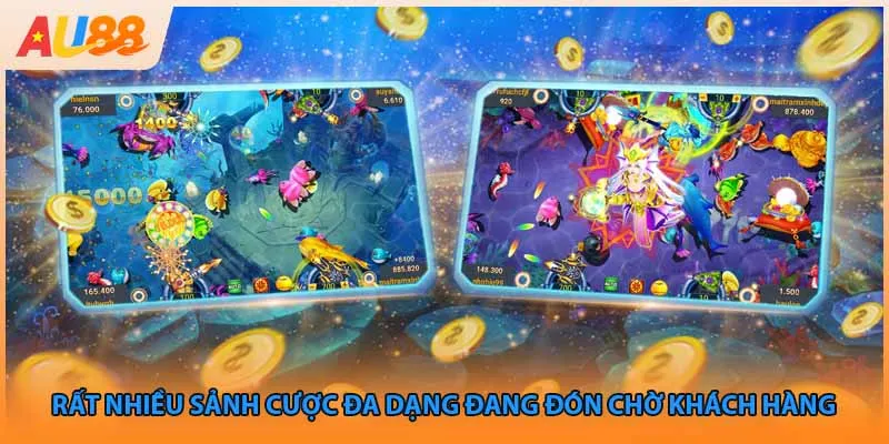 Rất nhiều sảnh cược đa dạng đang đón chờ khách hàng 