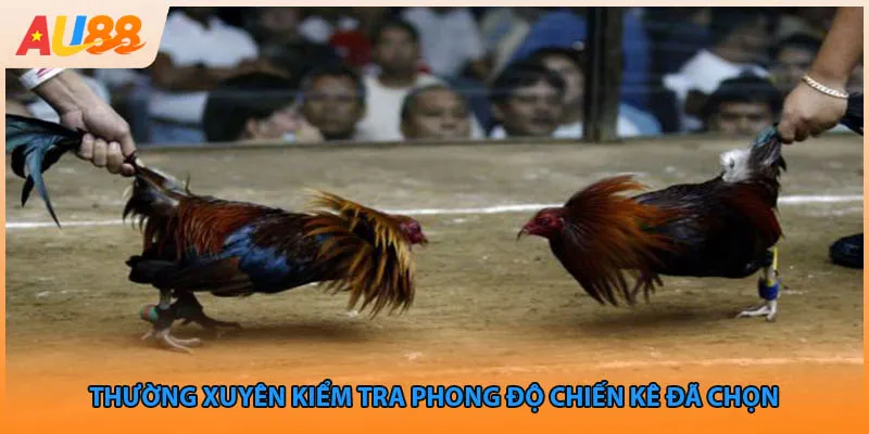 Thường xuyên kiểm tra phong độ chiến kê đã chọn 