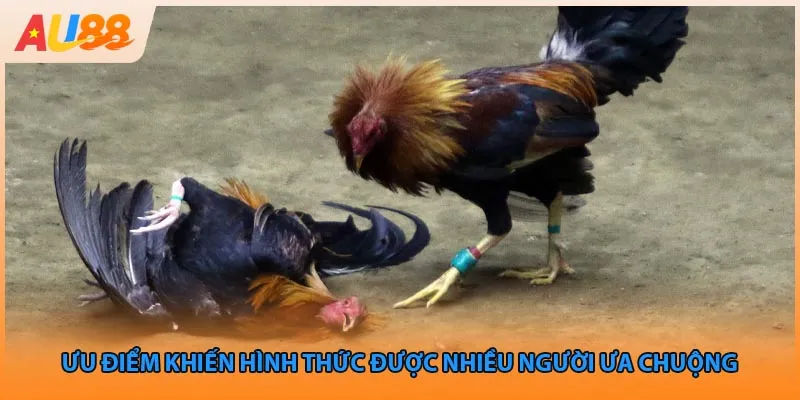 Ưu điểm khiến hình thức được nhiều người ưa chuộng